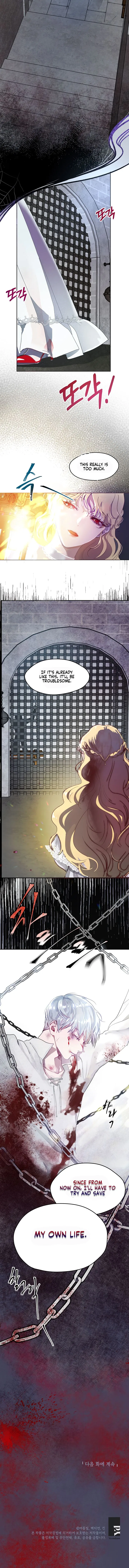 The Way to Protect the Female Lead’s Older Brother Chapter 1 – Page 13