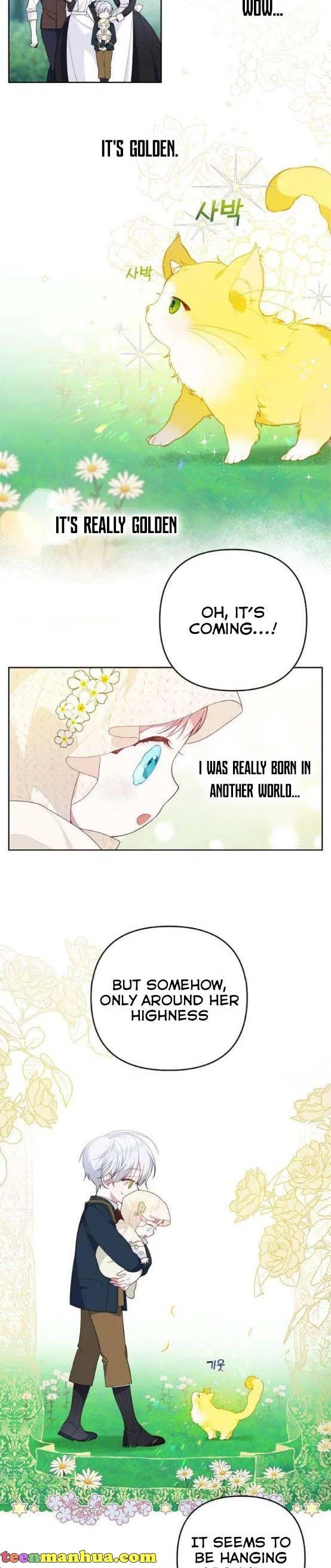 Born a Princess Chapter 5 – Page 21