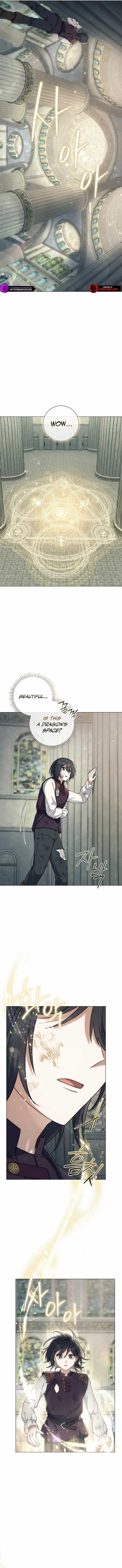 Magic Lord Chapter 4 – Page 9