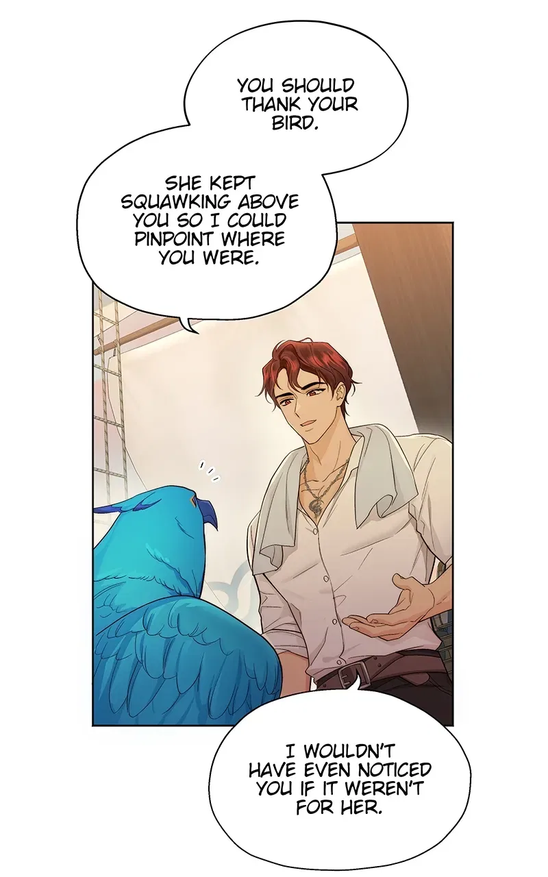 Seabird And The Wolf Chapter 4 – Page 9