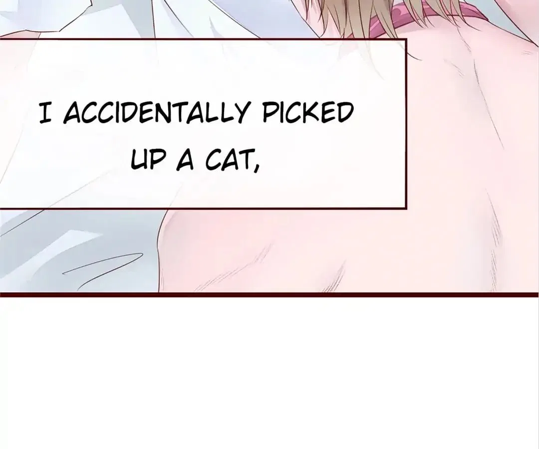 Guide to Raising Kitty Boyfriend Chapter 3 – Page 52