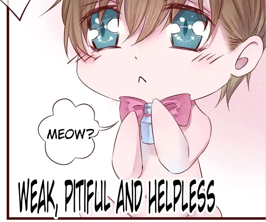 Guide to Raising Kitty Boyfriend Chapter 3 – Page 67