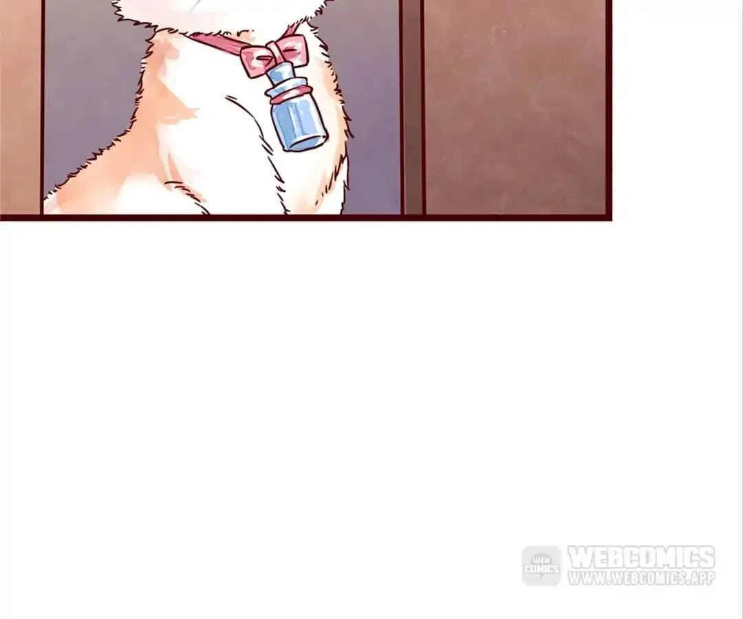 Guide to Raising Kitty Boyfriend Chapter 2 – Page 86