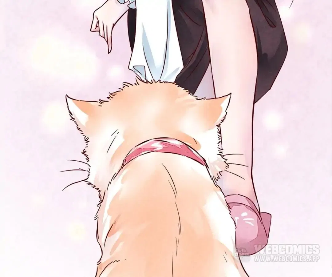 Guide to Raising Kitty Boyfriend Chapter 2 – Page 90