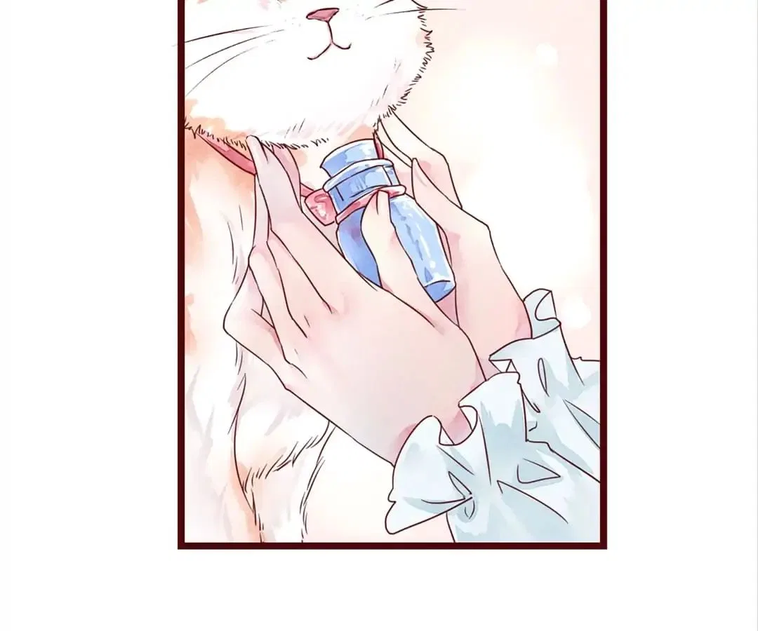 Guide to Raising Kitty Boyfriend Chapter 2 – Page 96