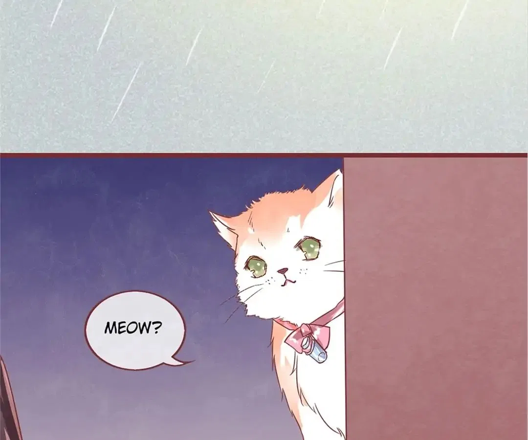 Guide to Raising Kitty Boyfriend Chapter 1 – Page 146