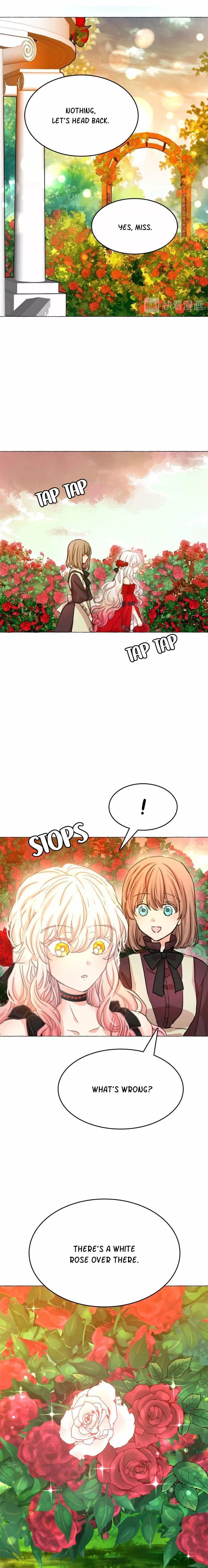 The Moon Witch and The Sun King: My Salvation Chapter 9 – Page 11