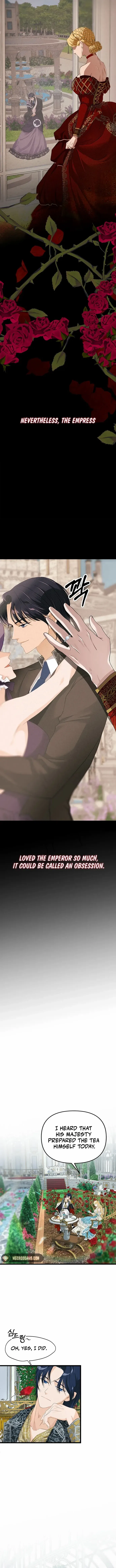 Our Majesty Has Changed Chapter 1 – Page 3
