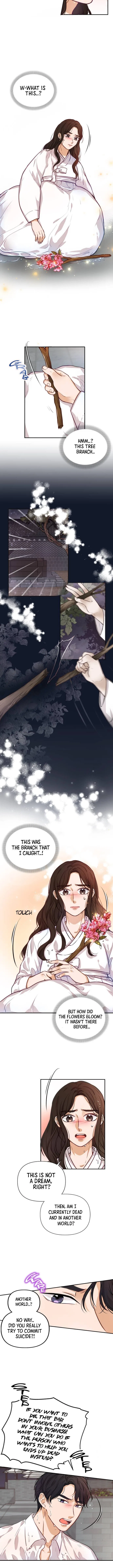 The Story of Park’s Marriage Contract Chapter 2 – Page 4