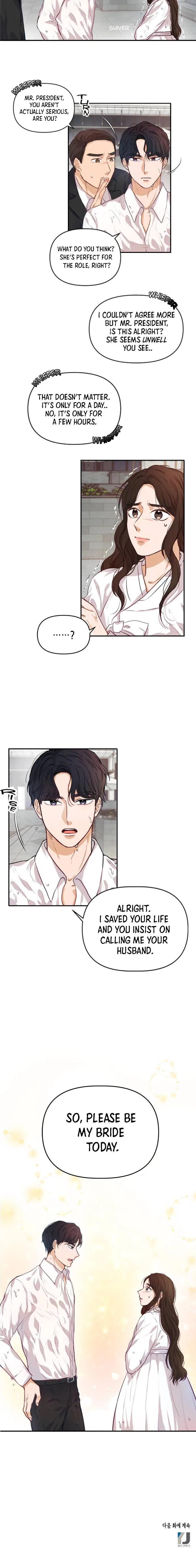 The Story of Park’s Marriage Contract Chapter 2 – Page 12