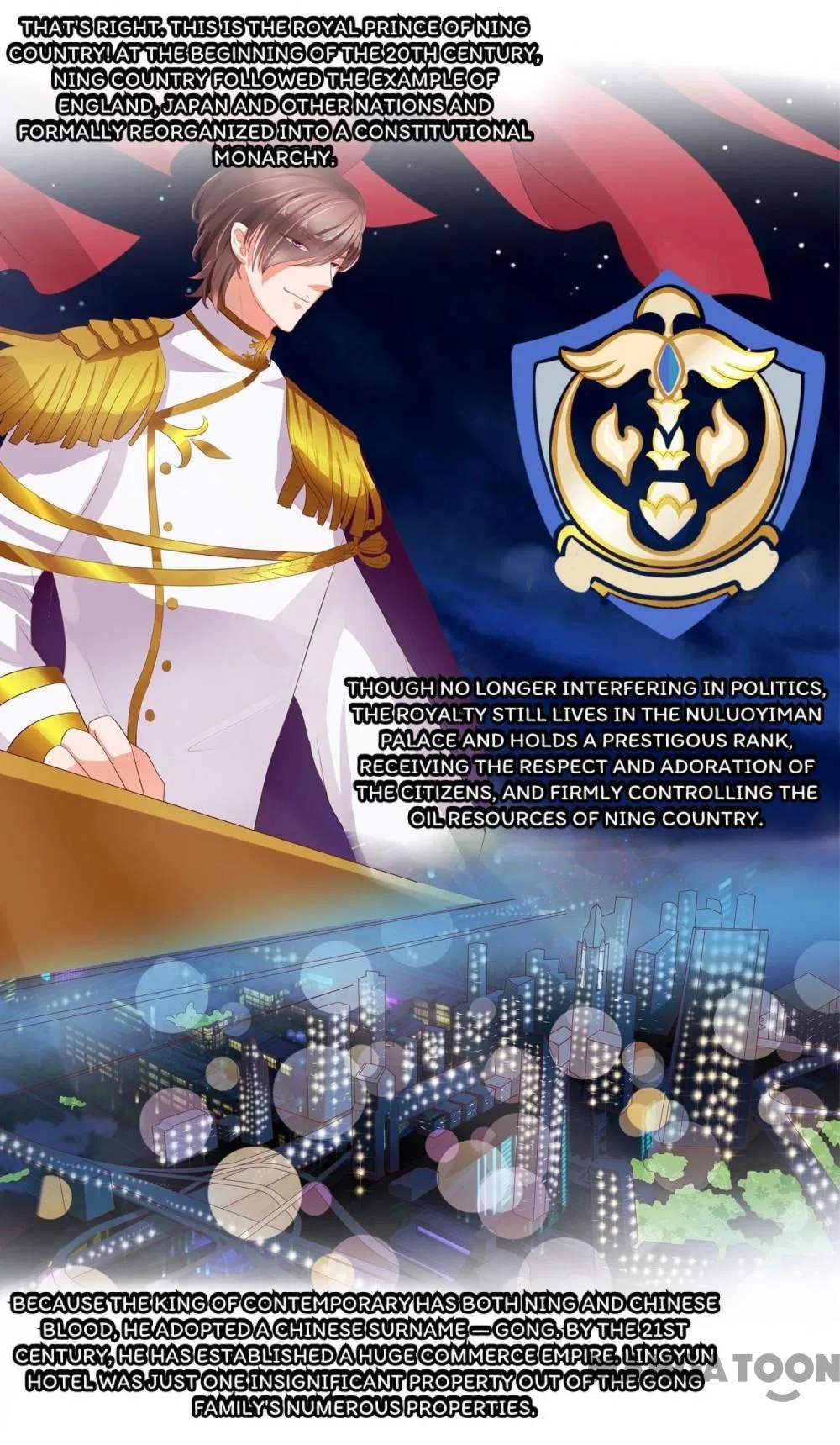 Prince’s Private Baby Chapter 2 – Page 17