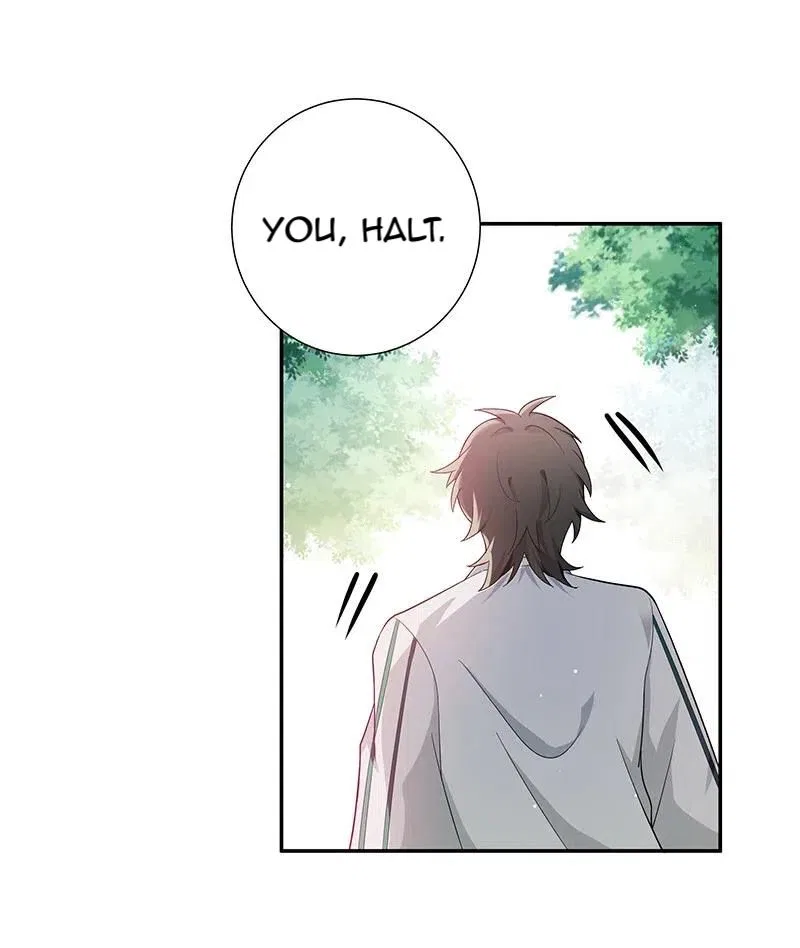 Female Cultivators Are After Me Chapter 11 – Page 19