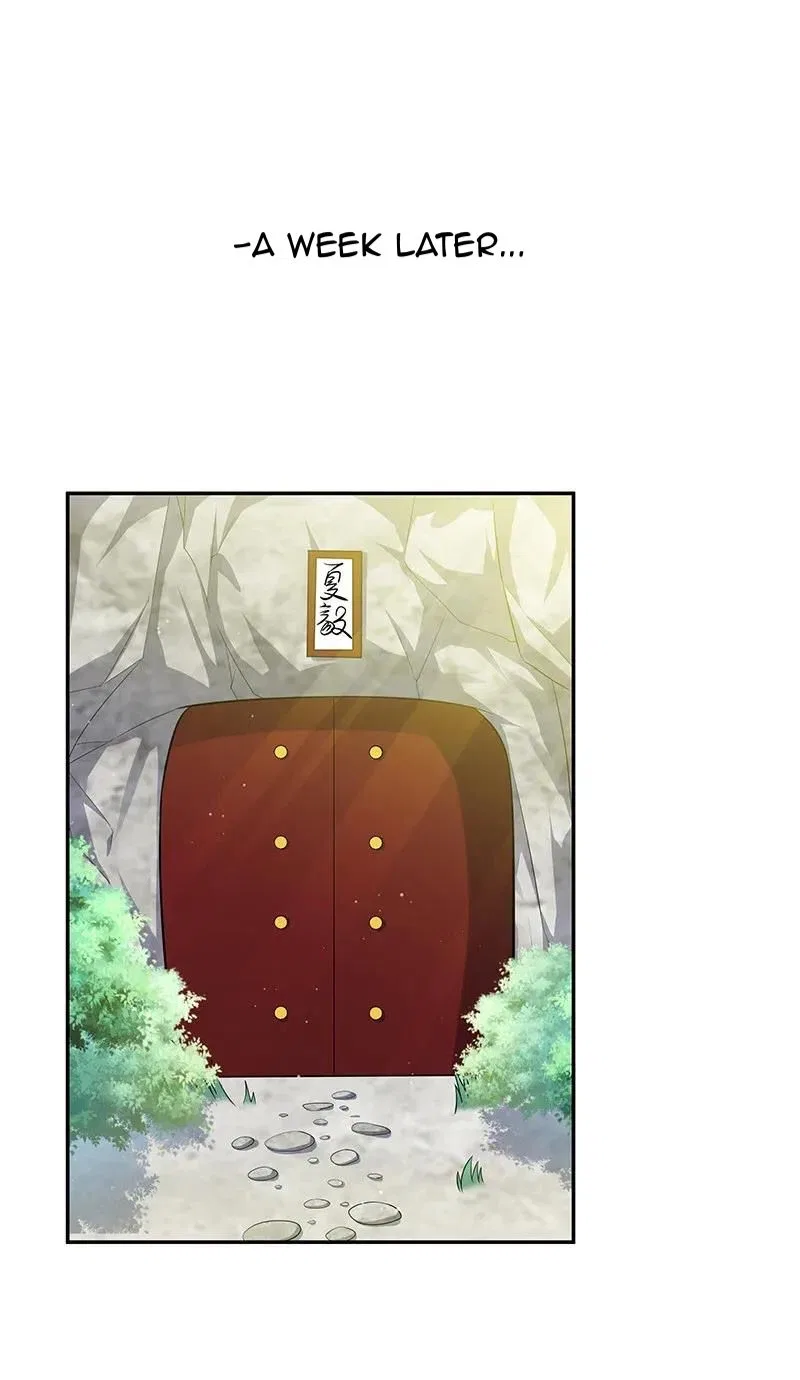 Female Cultivators Are After Me Chapter 8 – Page 28