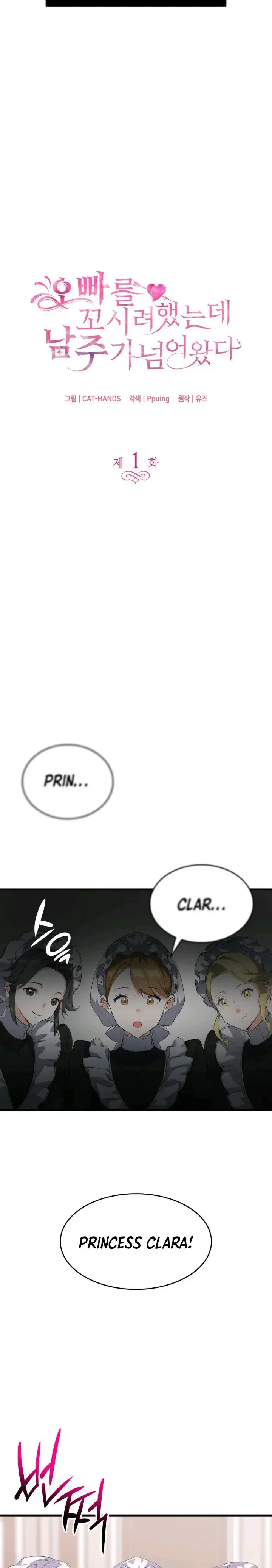 I Tried To Persuade My Brother And He Entrusted The Male Lead To Me Chapter 1 – Page 12