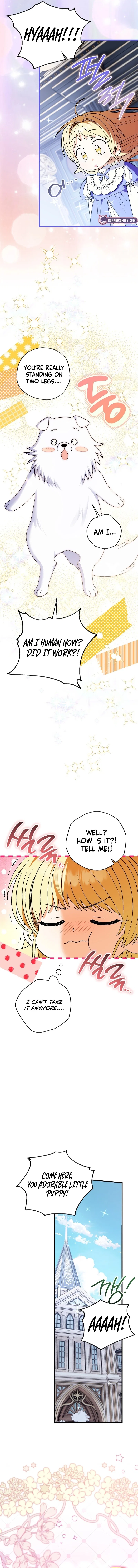 To My Dear Wolf Chapter 7 – Page 9