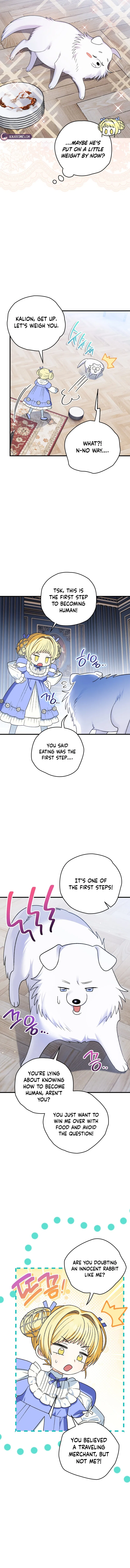 To My Dear Wolf Chapter 6 – Page 11