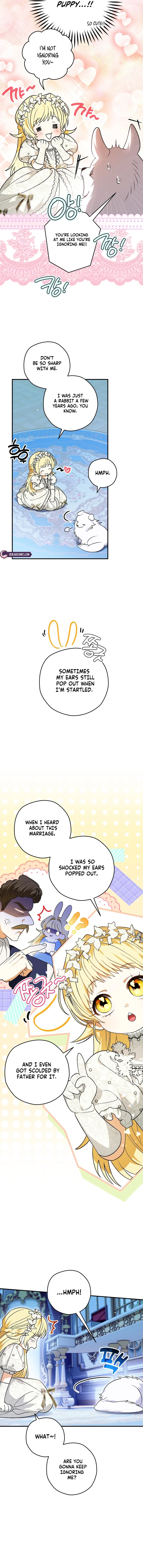 To My Dear Wolf Chapter 2 – Page 3