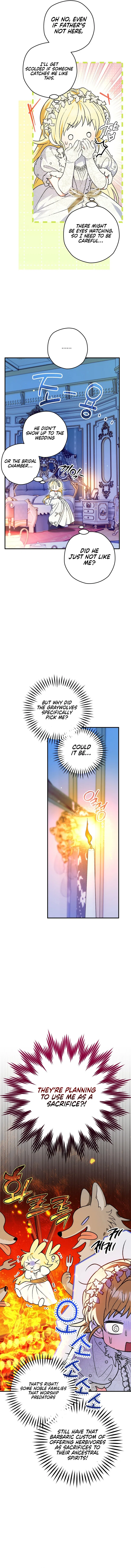To My Dear Wolf Chapter 1 – Page 12