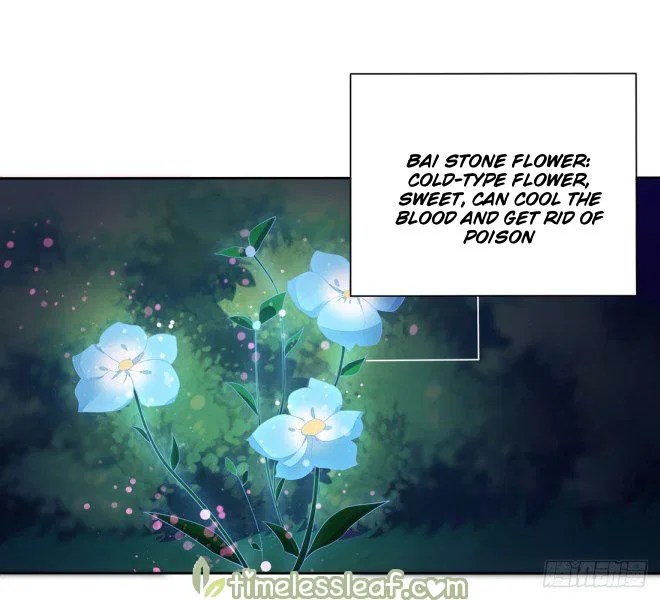 Pupillary Master Chapter 8 – Page 2