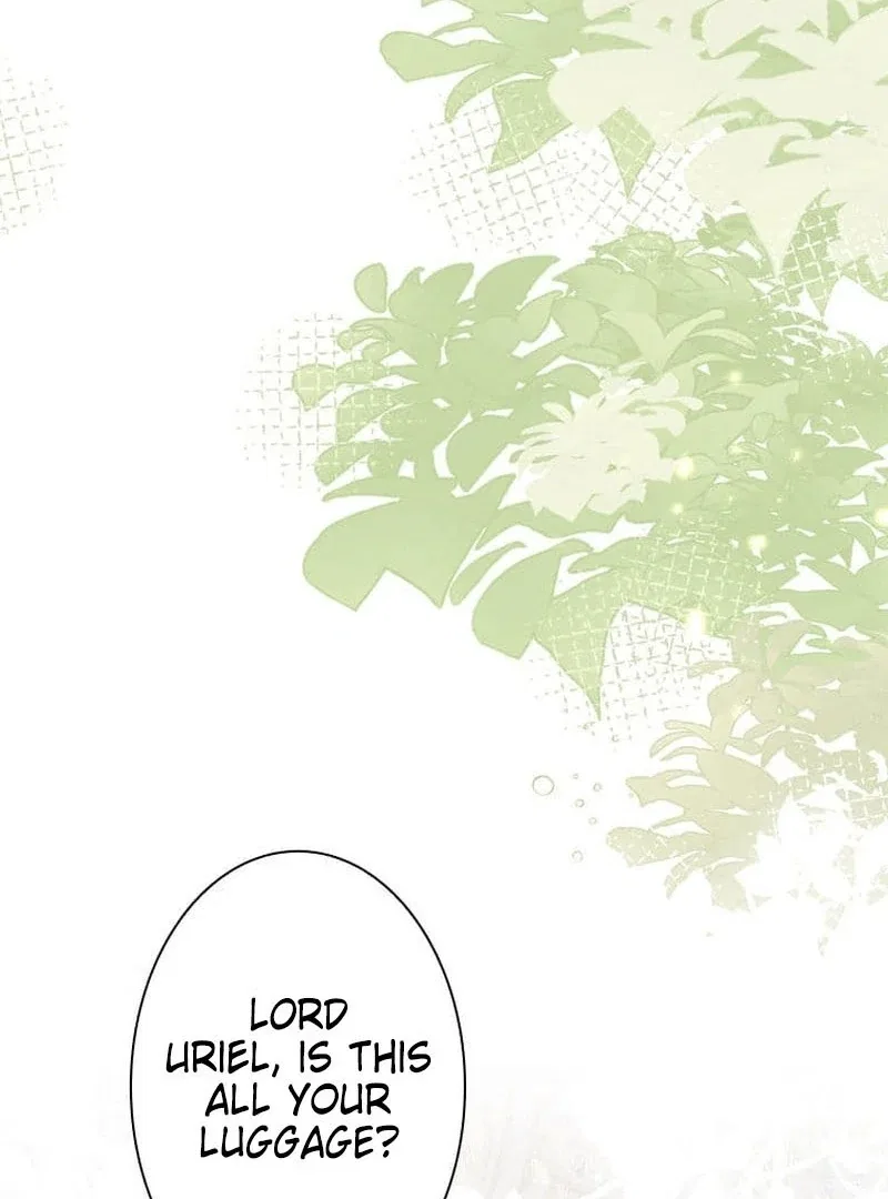 I Wish to Annul the Engagement Chapter 2 – Page 13