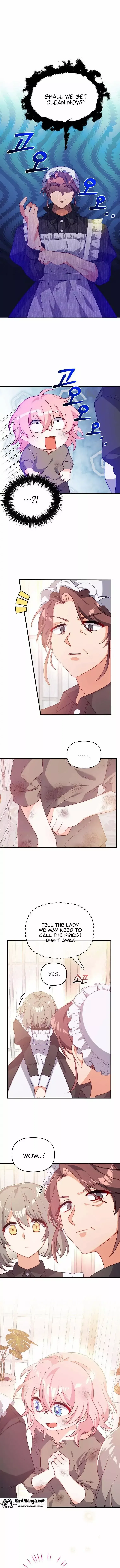 I Will Seduce The Male Lead For My Older Brother Chapter 2 – Page 1