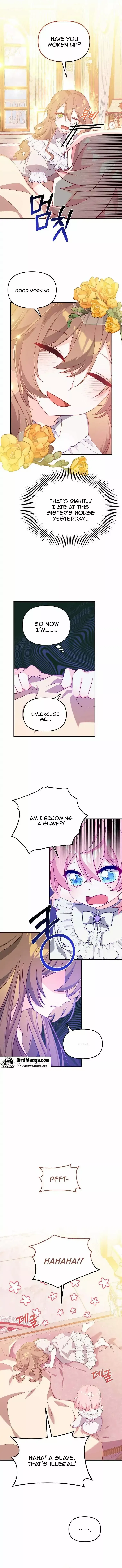 I Will Seduce The Male Lead For My Older Brother Chapter 2 – Page 11
