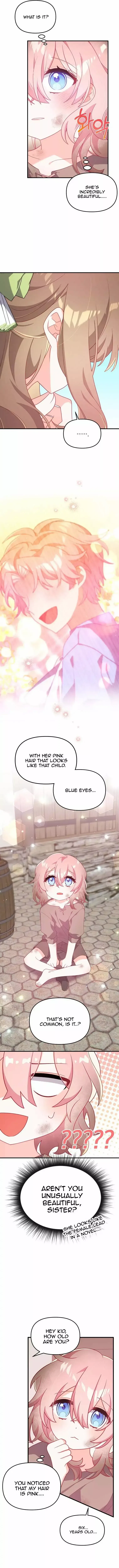 I Will Seduce The Male Lead For My Older Brother Chapter 1 – Page 13