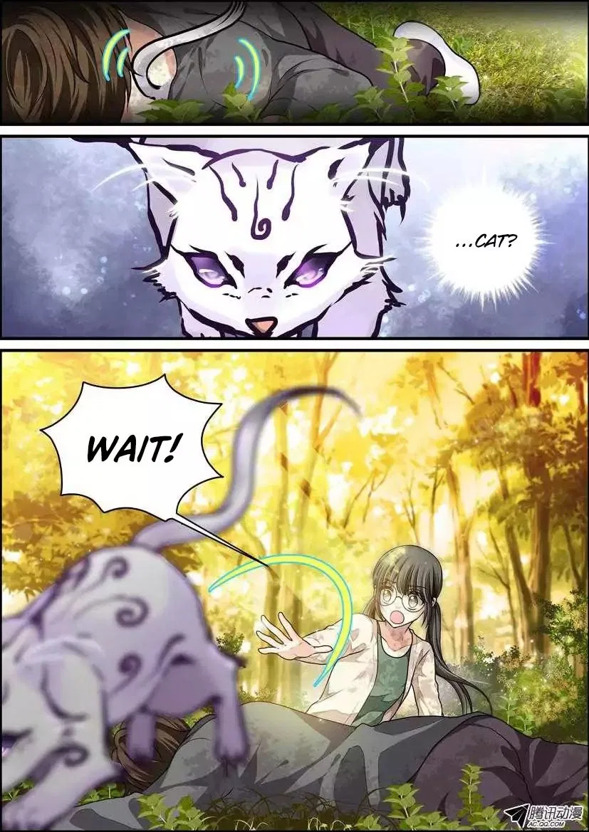 Bai Ze’s Bizarre Collection Chapter 1 – Page 15