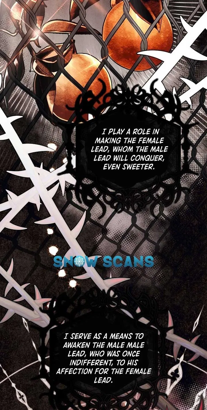 The Regretful Villainess Is Happy Because She Got Divorced Chapter 1 – Page 8