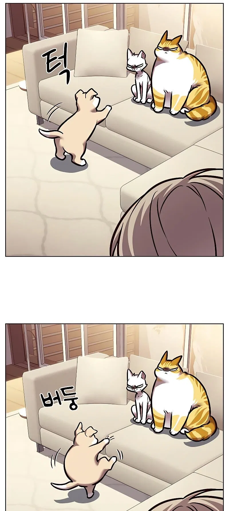 Eleceed manga Chapter 279 – Page 80
