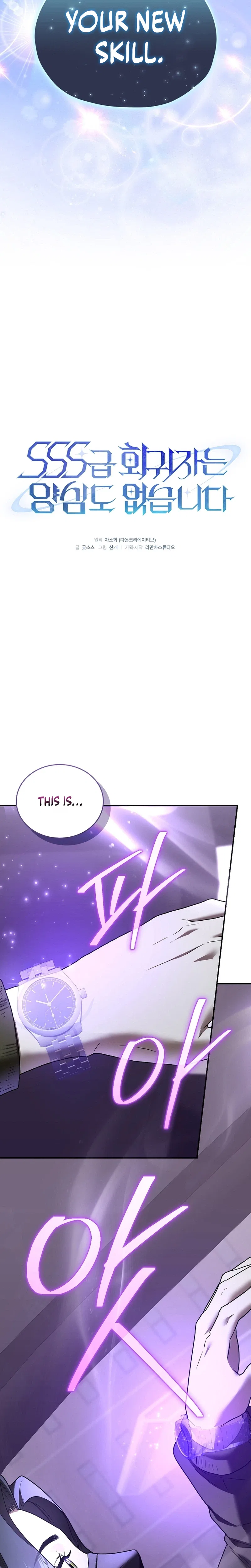 SSS-Class Regressor Has No Conscience Chapter 27 – Page 11
