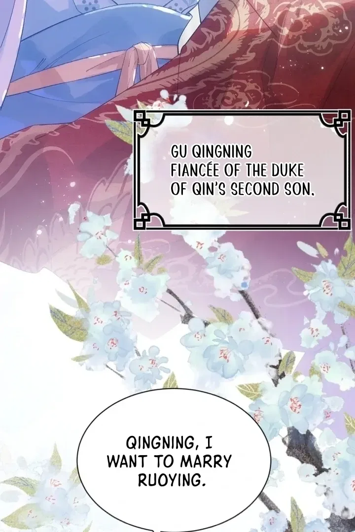 I’D Rather Marry A Spirit Tablet Than Be A Concubine Chapter 1 – Page 7
