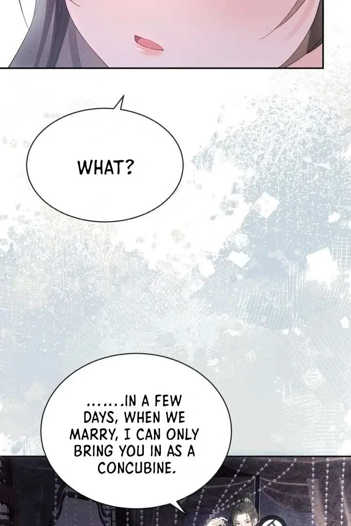 I’D Rather Marry A Spirit Tablet Than Be A Concubine Chapter 1 – Page 9