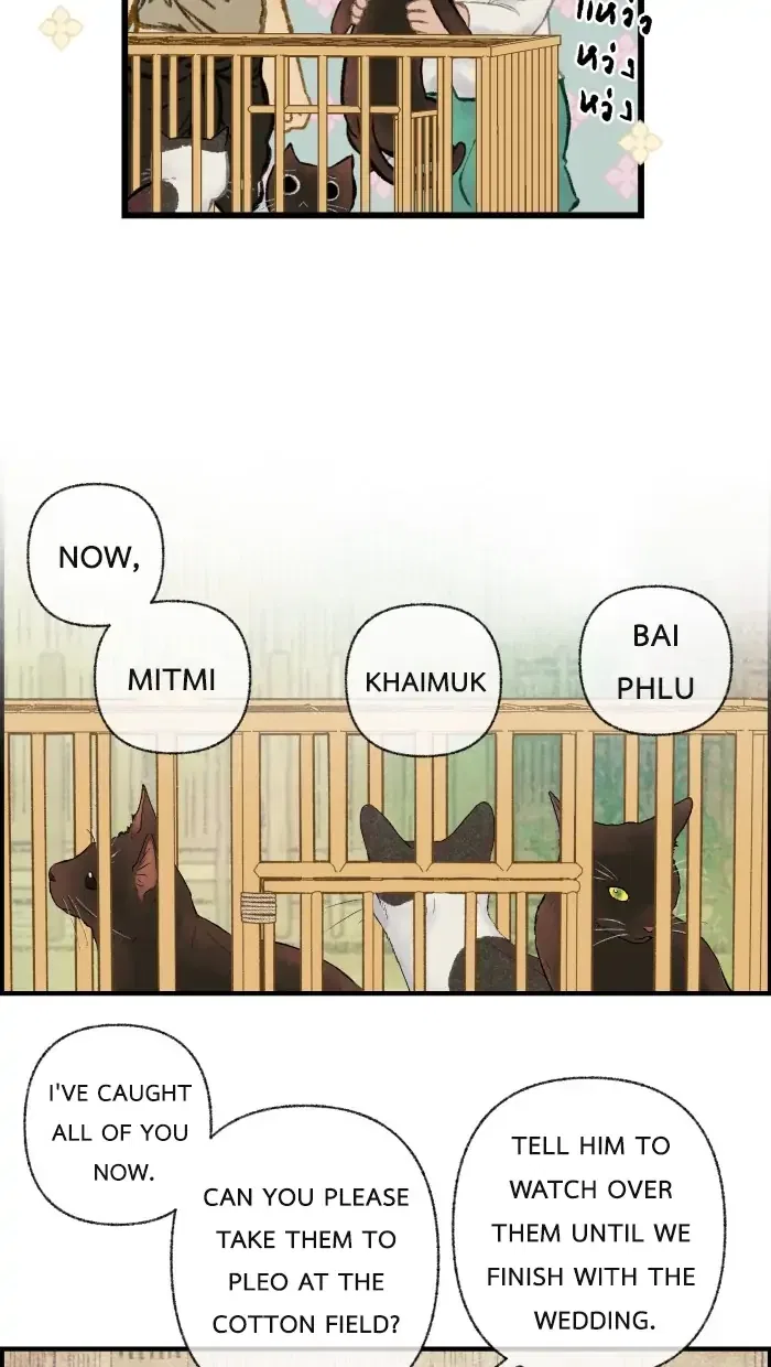 Loveless Heroine Chapter 35 – Page 4