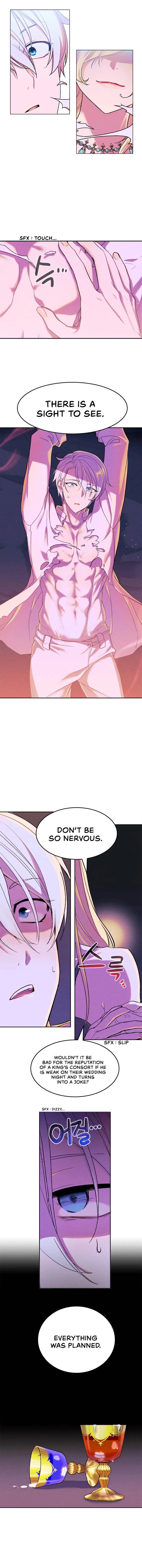 The Predatory Marriage Between the King and the Paladin Chapter 3 – Page 7