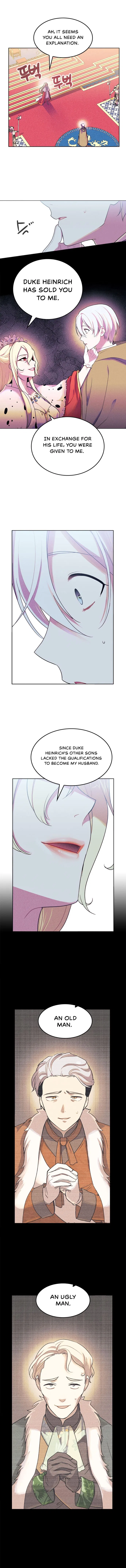 The Predatory Marriage Between the King and the Paladin Chapter 2 – Page 8