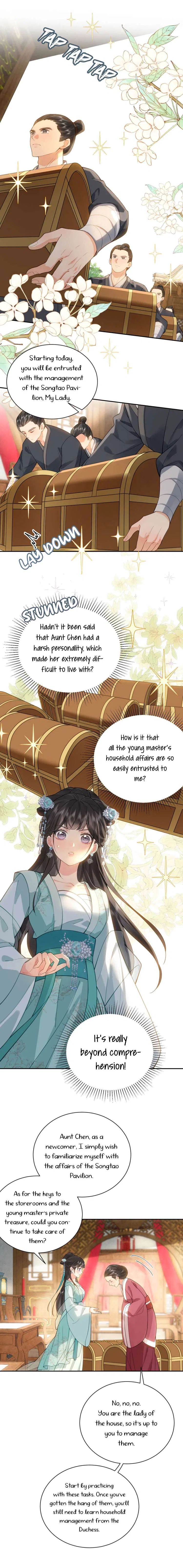 I’D Rather Marry A Spirit Tablet Than Be A Concubine Chapter 3 – Page 17
