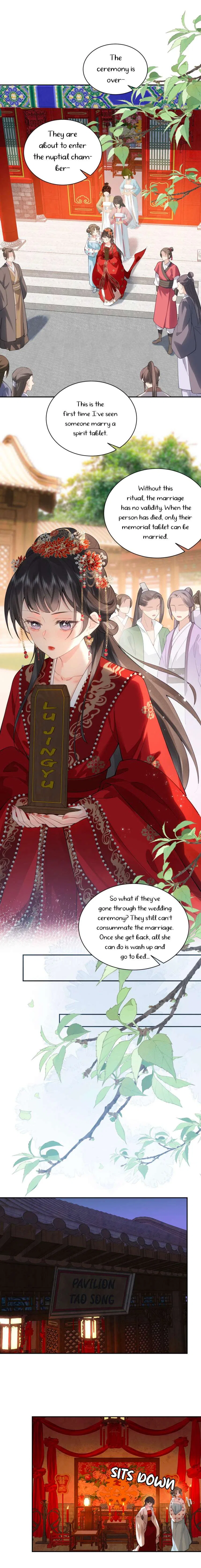 I’D Rather Marry A Spirit Tablet Than Be A Concubine Chapter 2 – Page 9