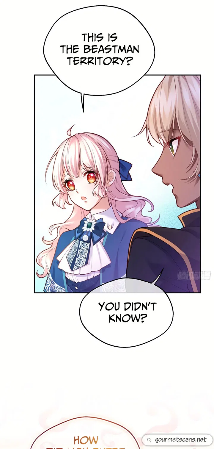 The Evil Witch’s Survival Plan Chapter 85 – Page 17