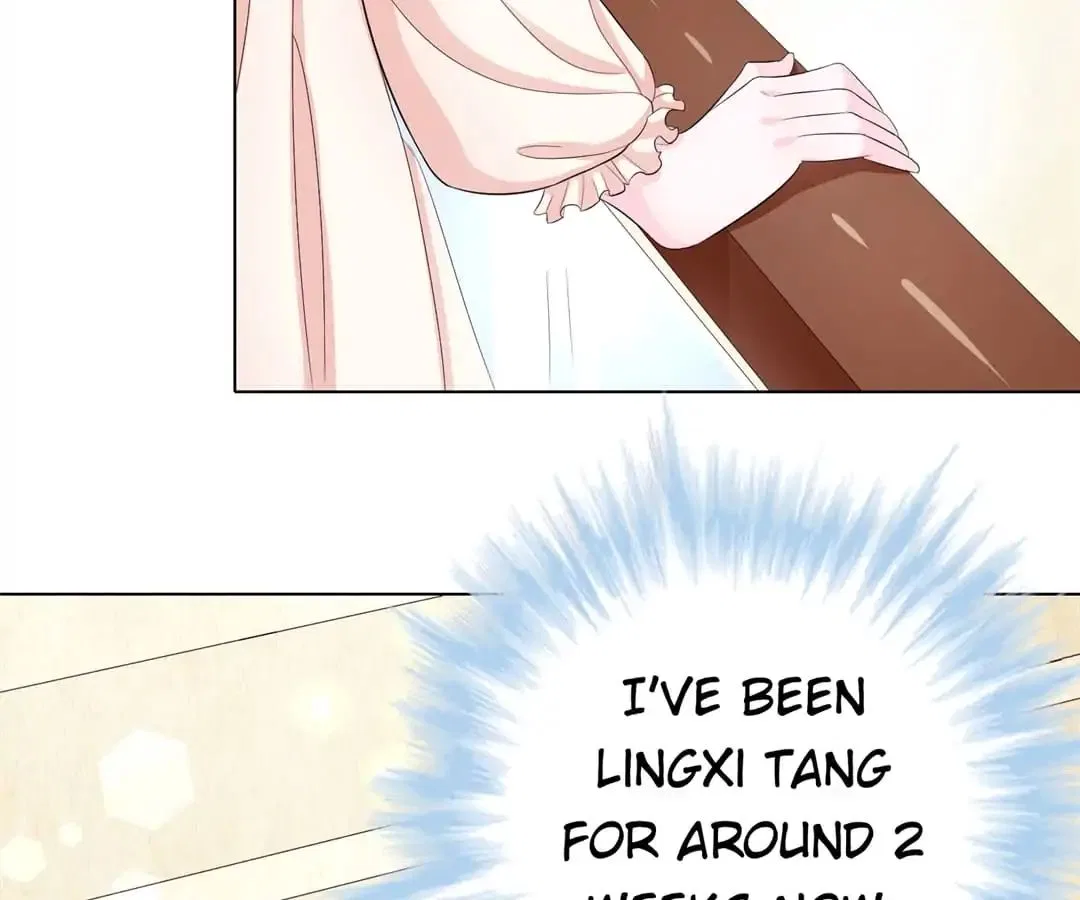 Delicate and Meek, Me? Chapter 2 – Page 5