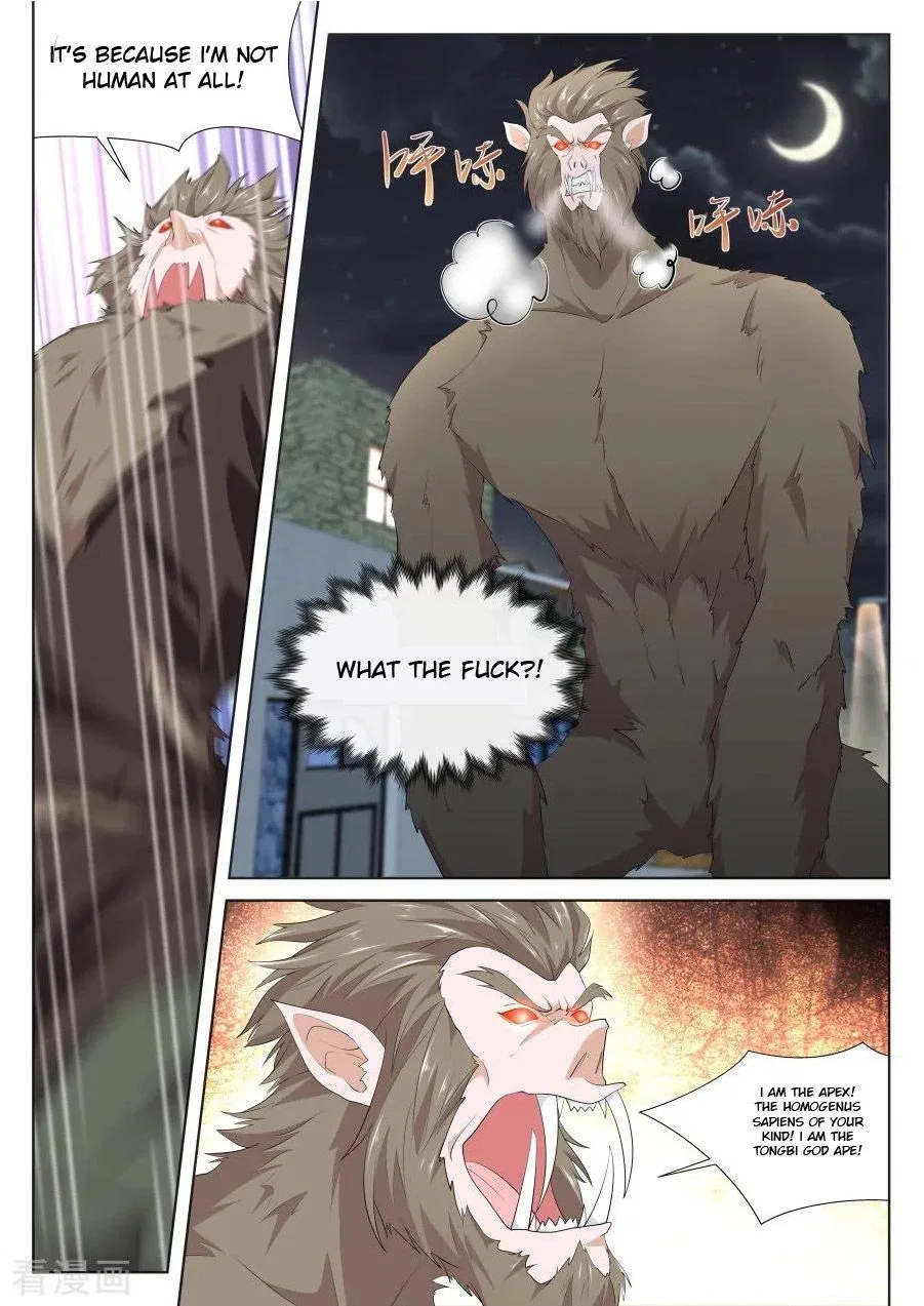 Metropolitan System Chapter 256 – Page 5