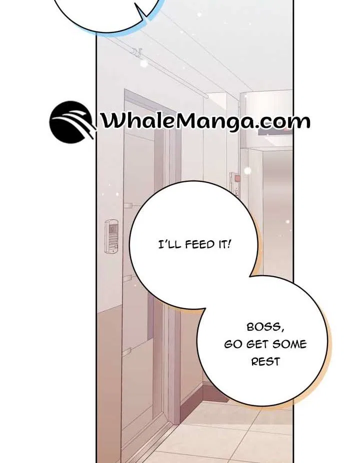 Love Next Office Chapter 11 – Page 19