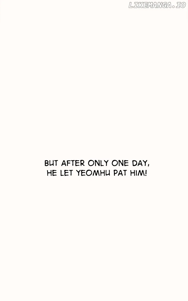 How a Goddess Wins Over Tigers Chapter 33 – Page 160