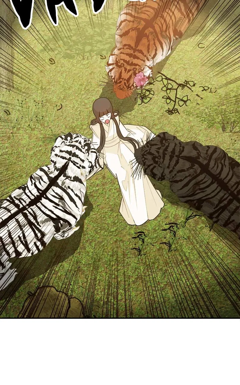 How a Goddess Wins Over Tigers Chapter 3 – Page 25