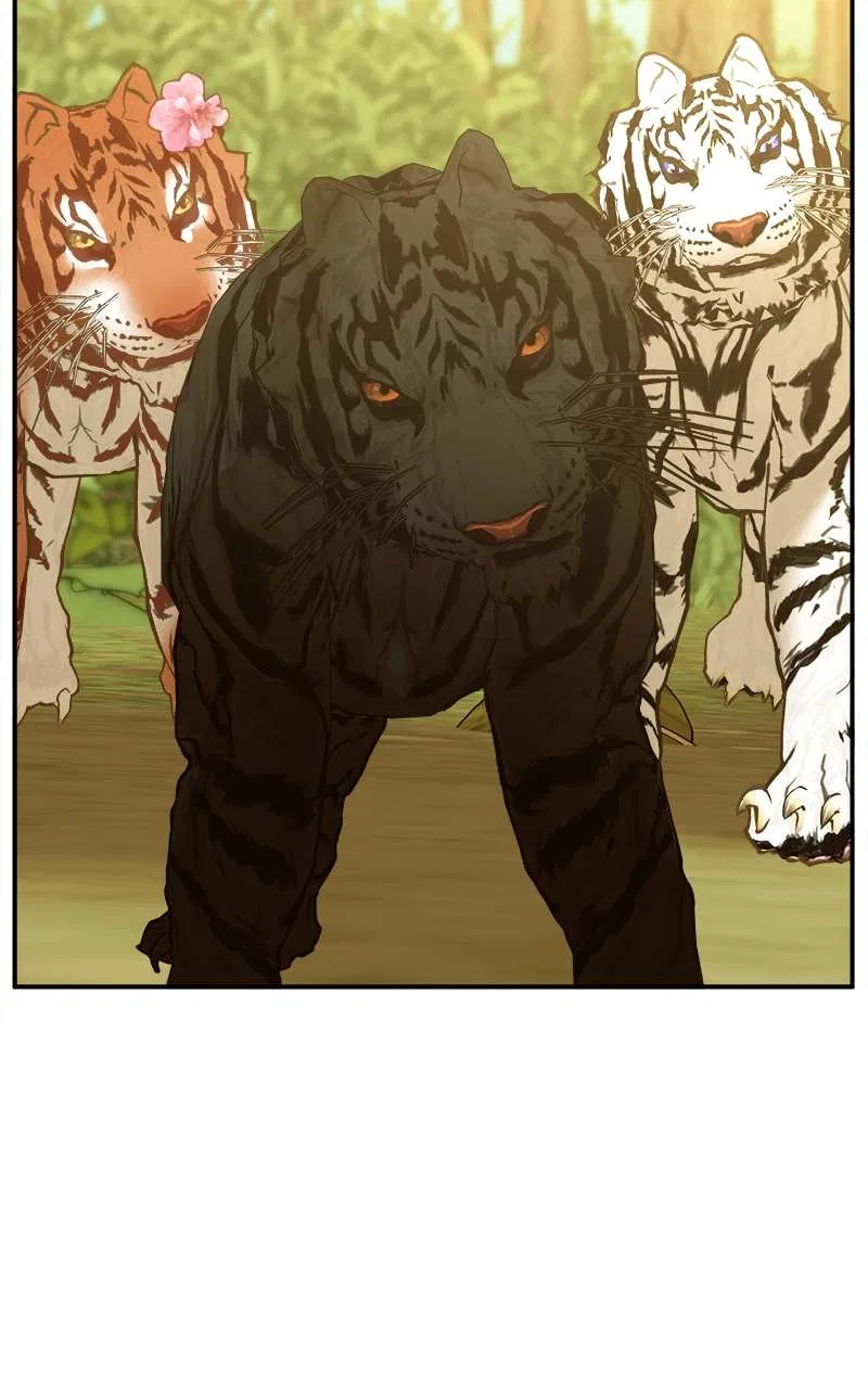 How a Goddess Wins Over Tigers Chapter 3 – Page 49