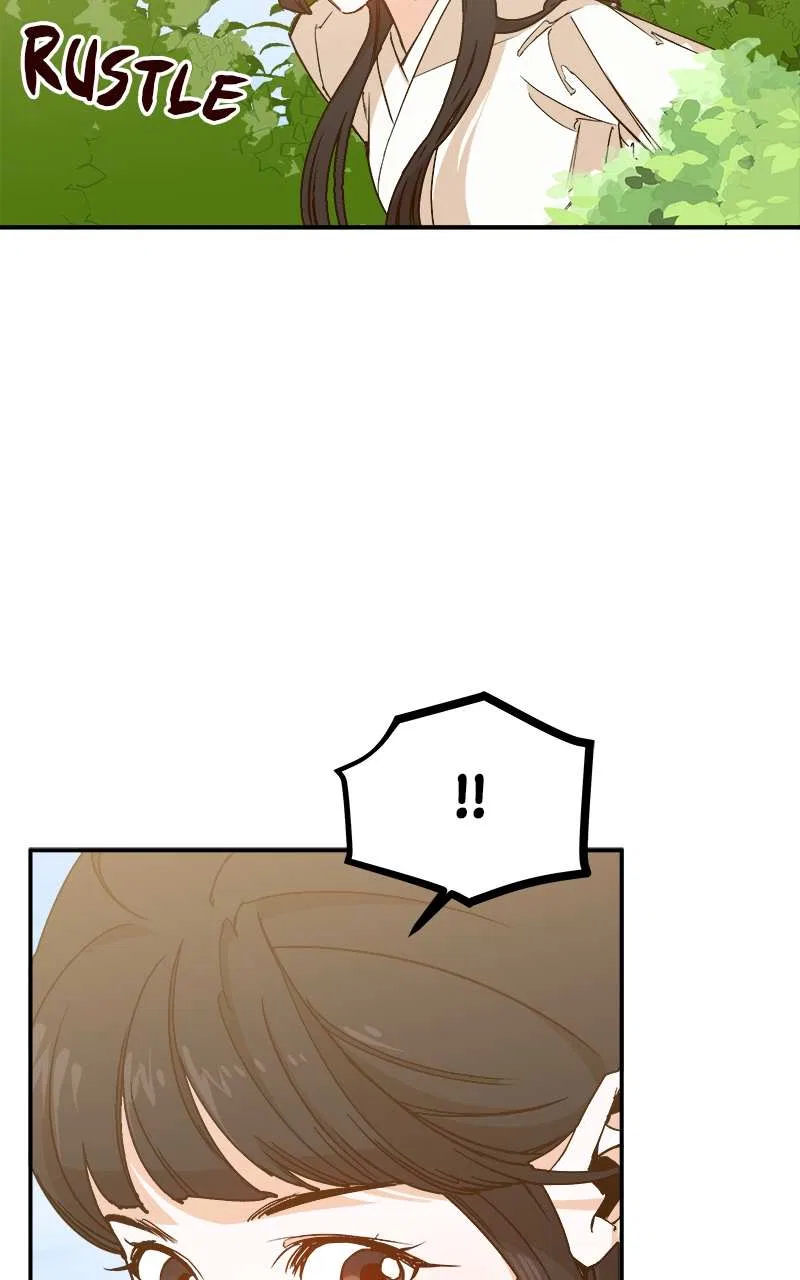How a Goddess Wins Over Tigers Chapter 2 – Page 213