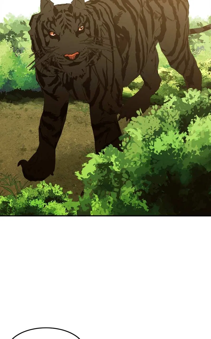 How a Goddess Wins Over Tigers Chapter 2 – Page 229
