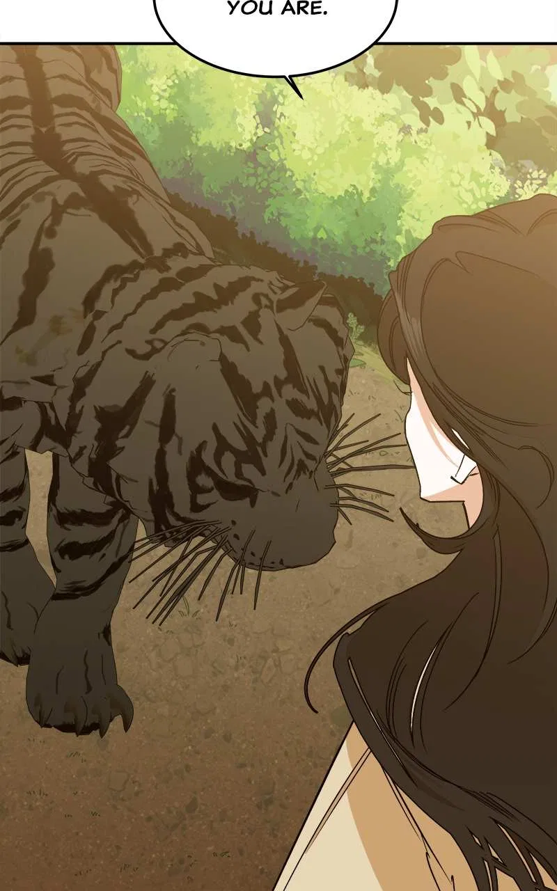 How a Goddess Wins Over Tigers Chapter 2 – Page 233