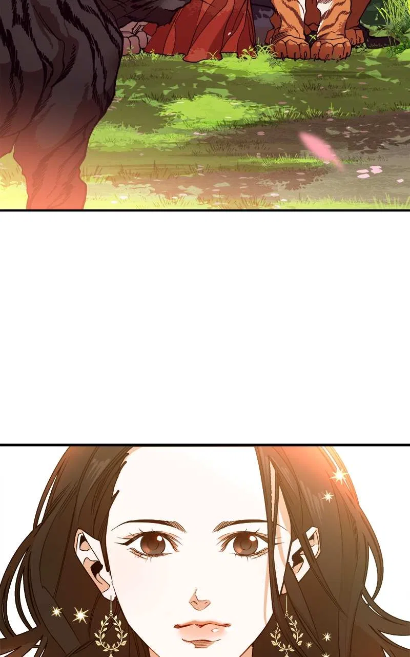 How a Goddess Wins Over Tigers Chapter 2 – Page 240