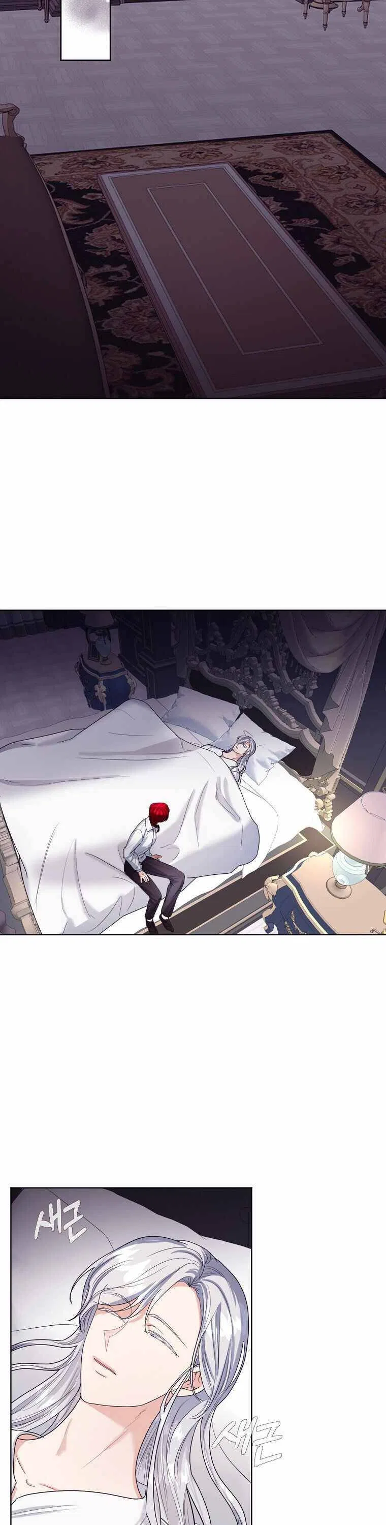 The Duchess’s Contract Marriage Chapter 19 – Page 20
